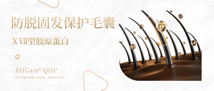 迪諾薇華ⅩⅦ 型膠原蛋白 | 一種可防脫生發(fā)、無“狂脫期”的神奇膠原蛋白