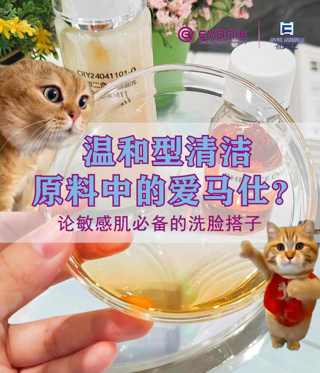 內(nèi)部產(chǎn)品調(diào)查檔案001卷-洗卸二合一潔面乳